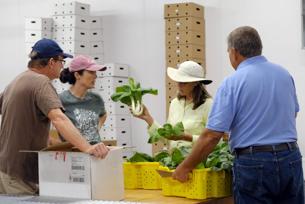 Richmond County Extension Director & Extension Agent Paige Burns discusses bok choy with Mandy Davis, co-director of Sandhills Farm-to-Table (pink hat). Photo: Nancy Pierce.
