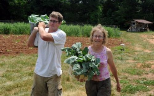 Elma C. Lomax Incubator Farm. This county-operated space gives serious gardeners space and help to make the transition from home gardening to organic farming as a small business, recognizing that many people want local, organic produce.