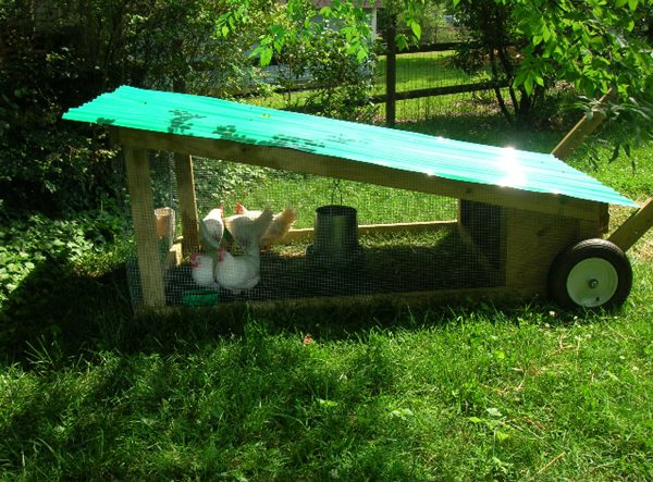 Mobile, backyard coop in Davidson, NC. Photo courtesy of Rea Wright.
