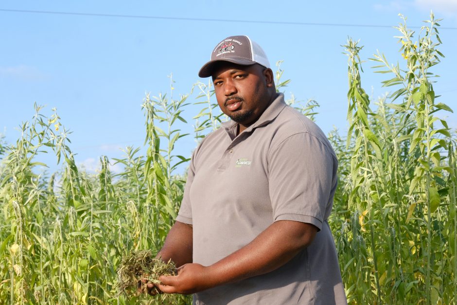 Davon Goodwin is manager of Sandhills AGInnovation Center in Ellerbee, NC  Behind him is a hemp cover crop. Photo: Nancy Pierce