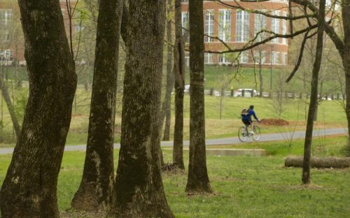 A biker rides along the Toby Creek Greenway at UNC Charlotte in March 2011.