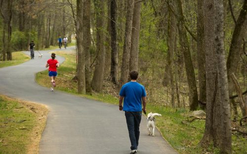 Several people walk along the Toby Creek Greenway at UNC Charlotte in March 2011.