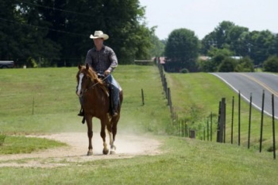 Man rides horseback in eastern Union County.