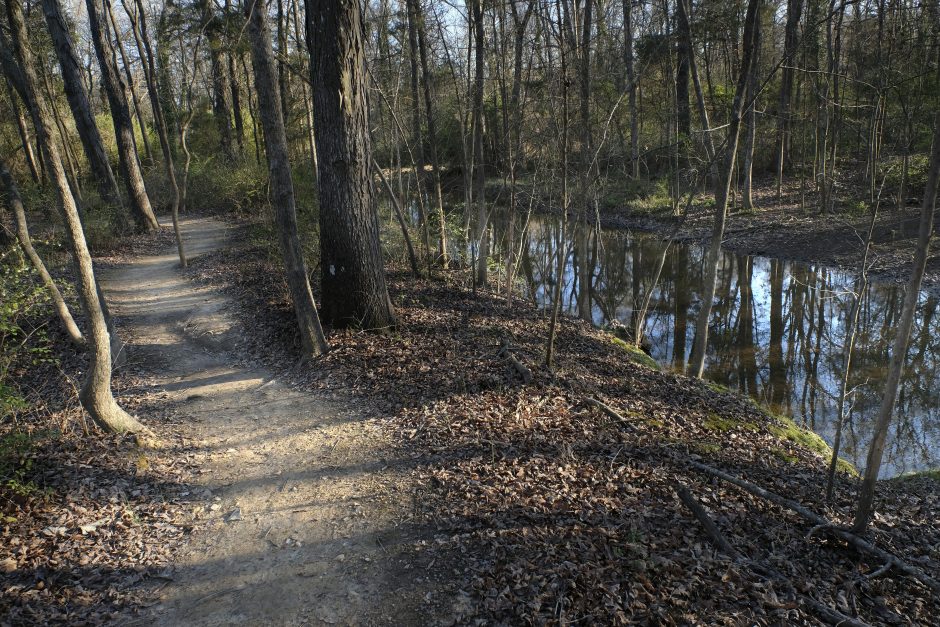 The Falcon Trail in Stanly County. Photo: Nancy Pierce.