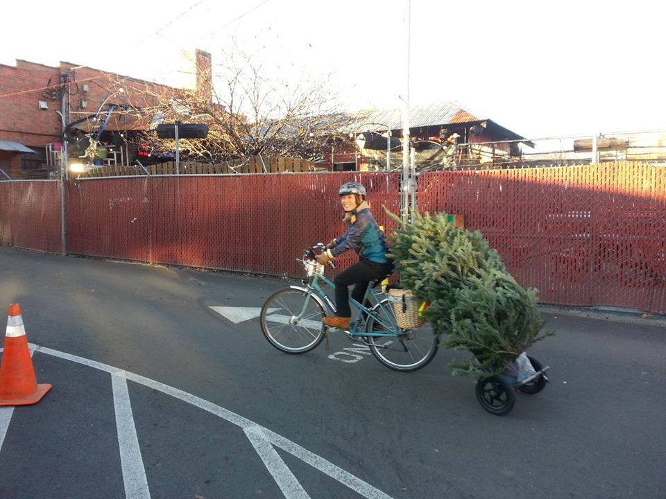 Woman hauling a christmas tree on a bike